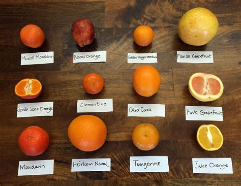 Know These 12 Citrus Varieties And When They Are In Season - Food Republic