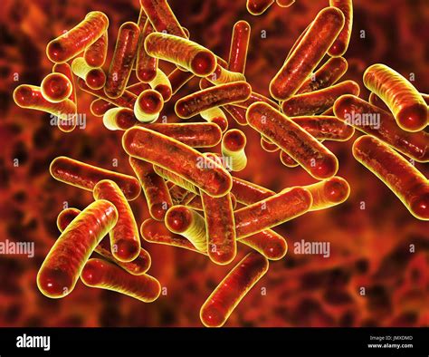 Bacillary dysentery hi-res stock photography and images - Alamy