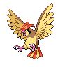 Pidgeotto Pokédex: stats, moves, evolution & locations | Pokémon Database