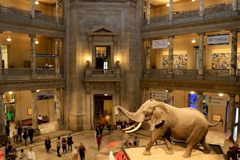 The 15 Best Museums in DC to Visit: The USA Guided Tours List