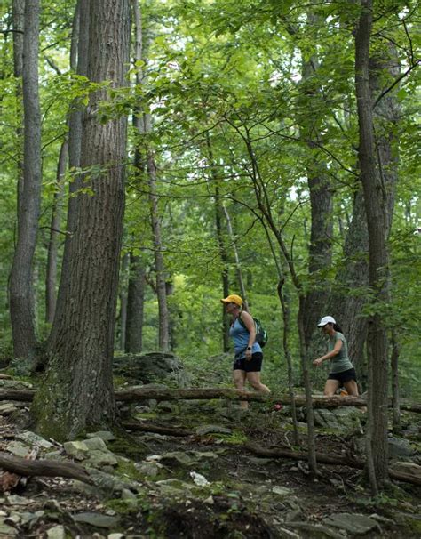 Catoctin Mountain Park | Outdoor Recreation & Scenic Vistas