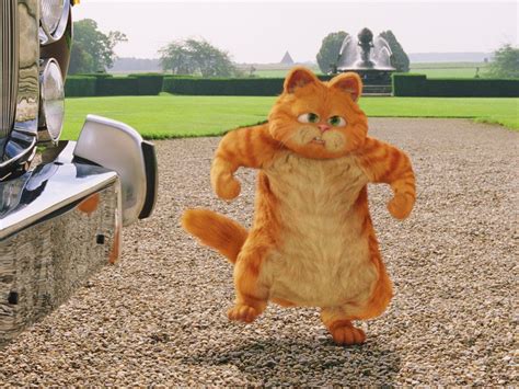 Photos Garfield Movies