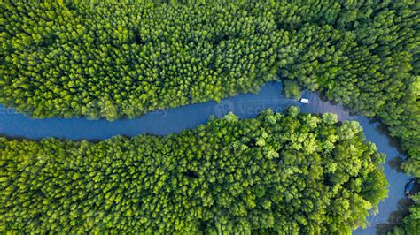 Aerial top view of boat on the river in Mangrove Forest Conservation in Thailand 2305235 Stock ...