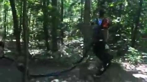 Video: Boston Dynamics Caught Taking Creepy Robot Through The Woods ...