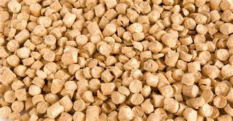 Biomass Fuel Production On the Rise - with More to Come | ProcessBarron