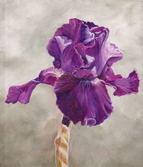 Daily Painters of Pennsylvania: "Purple Iris" Oil painting by Charlotte Yealey