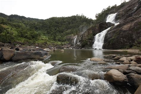 Parc national de Ranomafana - Voyage Tourisme Madagascar