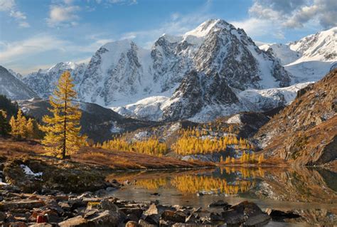 Top 60 Altai Nature Reserve Stock Photos, Pictures, and Images - iStock