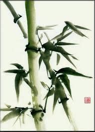 puricare chronicles: THE CHINESE BAMBOO TREE - How Success is Like a Chinese Bamboo Tree - The ...