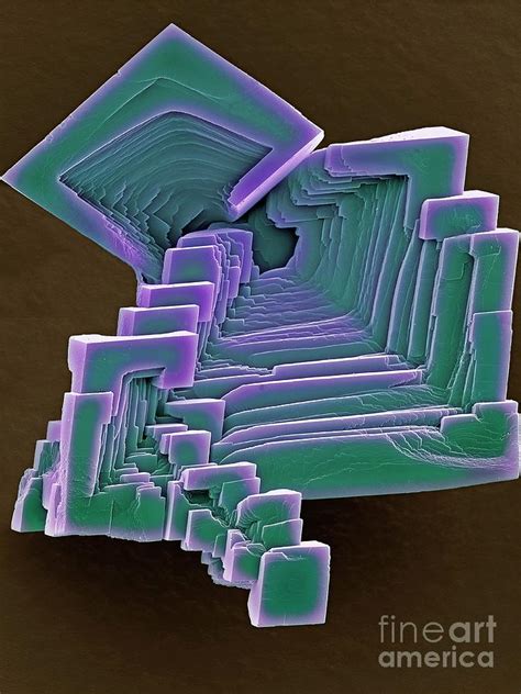 Calcium Carbonate Crystals Photograph by Steve Gschmeissner/science ...