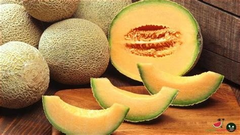 Discover the Arara Melon: Your Guide to this Unique Fruit - [Updated ...