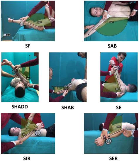 Frontiers | Low Range of Shoulders Horizontal Abduction Predisposes for Shoulder Pain in ...