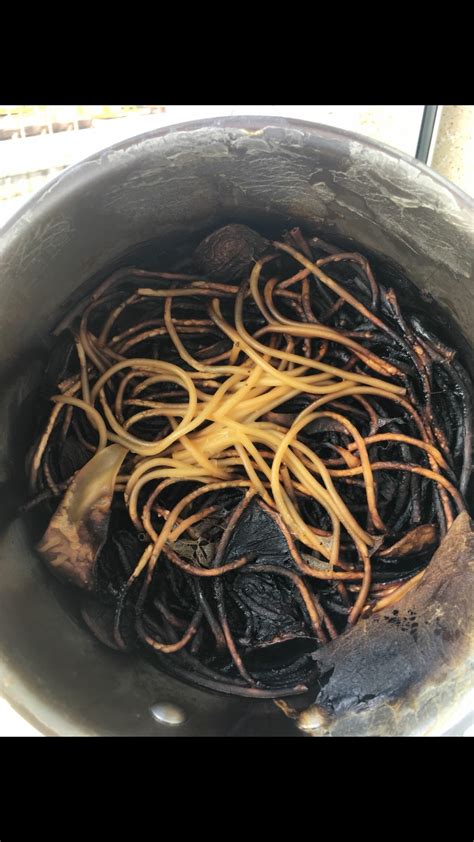 Burnt spaghetti, as cooked by my sister's roommate. : r/drunkcooking