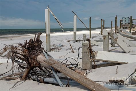 Hurricane Michael Aftermath Photograph by Jim West/science Photo ...