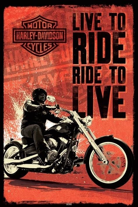 Vintage Harley Davidson Posters | ubicaciondepersonas.cdmx.gob.mx