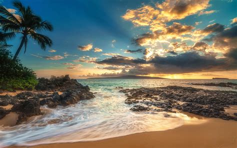 Wallpaper Palm trees, sea, clouds, beach, sunset 1920x1200 HD Picture, Image
