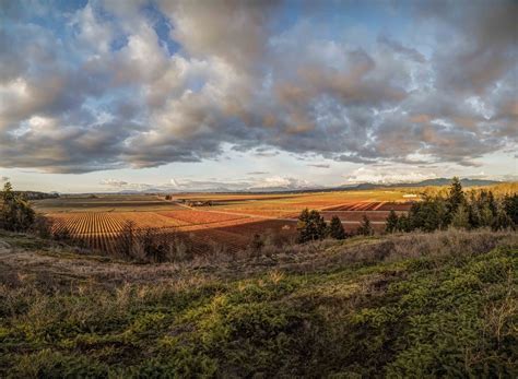 Skagit Valley at Sunset | North Western Images - photos by Andy Porter