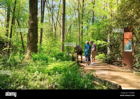 South Carolina Botanical Garden, Clemson, South Carolina Stock Photo ...