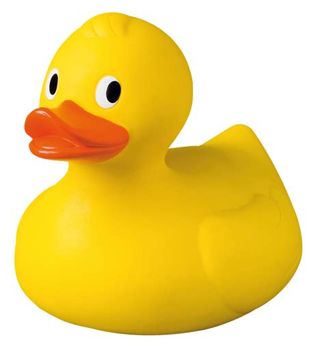 Rubber Duck PNG HD Image - PNG All | PNG All