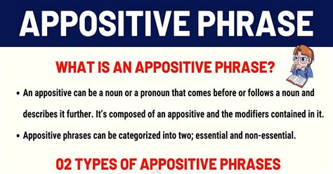 Appositive Phrase: Definition, Types and Examples of Appositive Phrases