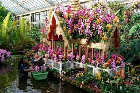 Experience thousands of orchids at Kew Gardens' Thai tropical paradise