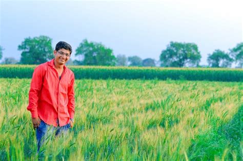 Premium Photo | Wheat field in india