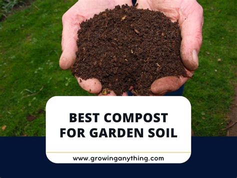 Top 15 Best Compost For Garden Soil Reviews 2024