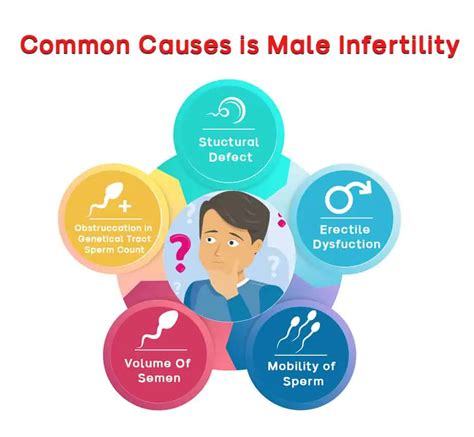 Male Infertility Treatment In Bathinda, Punjab