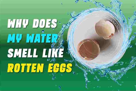 Why Does My Water Smell Like Rotten Eggs? Ultimate Guide