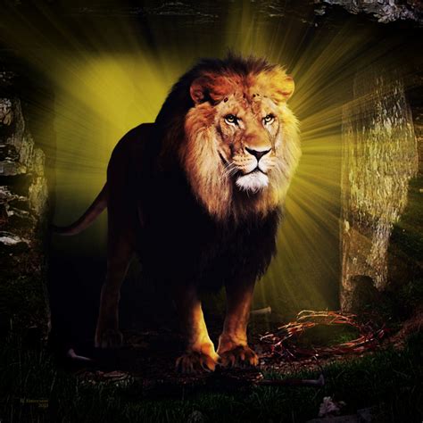 Share 57+ lion of judah wallpaper latest - in.cdgdbentre