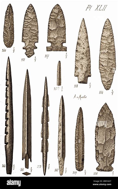 Neolithic Age Artifacts