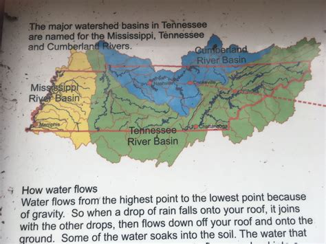 Tennessee river watersheds | Cumberland river, Tennessee river, Watersheds