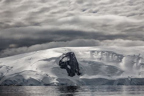 Glowing Glacier, Cierva Cove by William Neill | Susan Spiritus Gallery