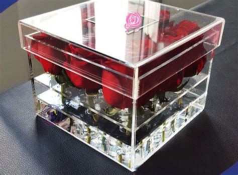 Top Benefits of Choosing Acrylic Display Boxes