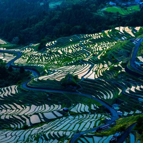 Maruyama Senmaida Rice Terraces - Japan's largest rice terrace fields