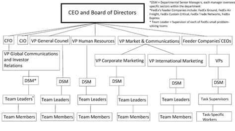 Common Organizational Structures | Boundless Management