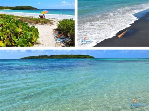 The Amazing Beaches of Vieques… One of the Islands of Puerto Rico | Vieques