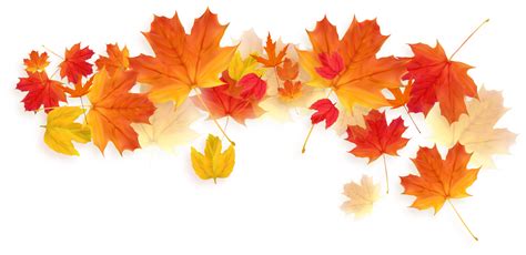 Leaves png fall - Download Free Png Images