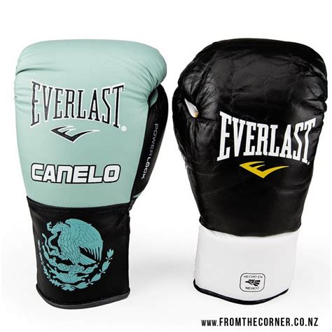 Custom-made Everlast boxing gloves for Saul 'Canelo' Alvarez leading up to his KO win against ...