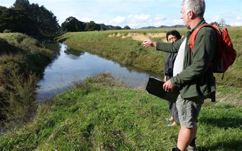 Northland marae aims to restore stagnant stream | Radio New Zealand News