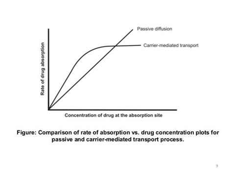 MECHANISMS OF DRUG ABSORPTION