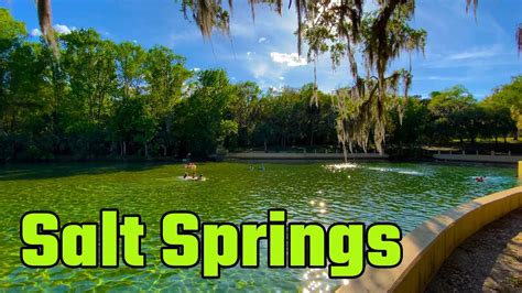 Salt Springs Recreation Area, Day Use Park Visit (RV Living Full Time ...