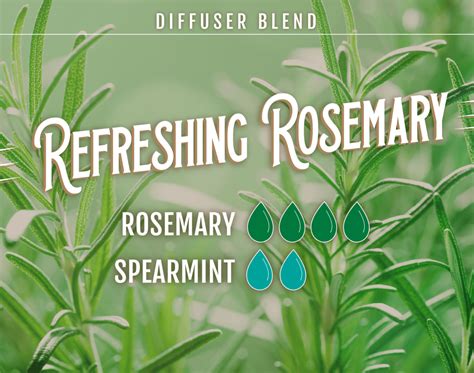 4 Rosemary Oil Diffuser Blends to Boost Your Brain - The Dropologist ...