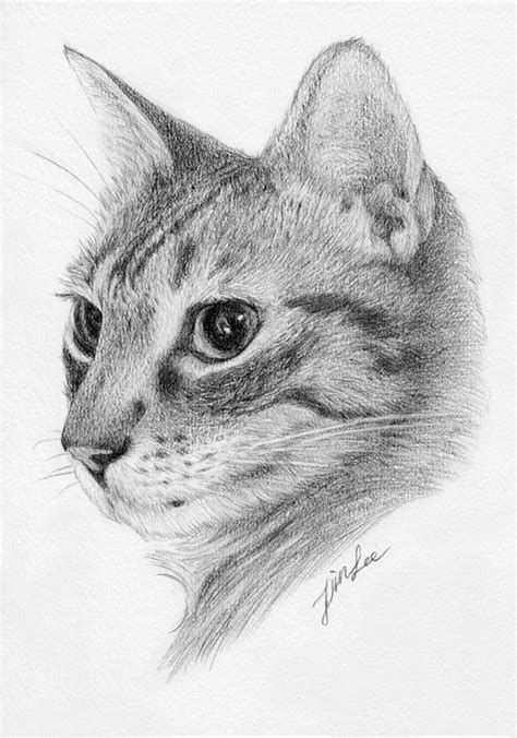 Custom cat portrait pencil drawing pet drawing pencil | Etsy | Cats art drawing, Animal drawings ...