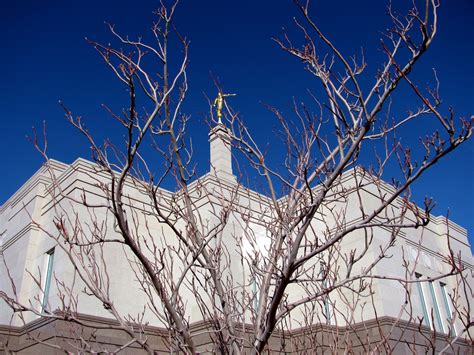 Snowflake Arizona Temple Photograph Gallery | ChurchofJesusChristTemples.org