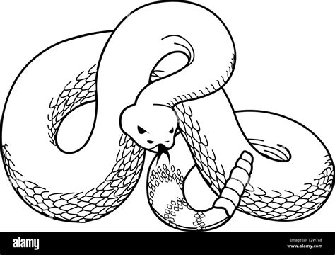 Rattlesnake Vector Illustration Stock Vector Image & Art - Alamy