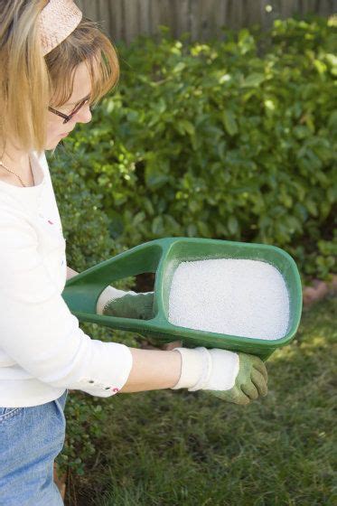 Is 10-10-10 Fertilizer Really The Best Garden Choice?