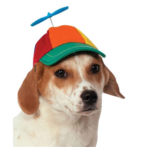 Dogs cap 大人気新品 28%割引 swim.main.jp