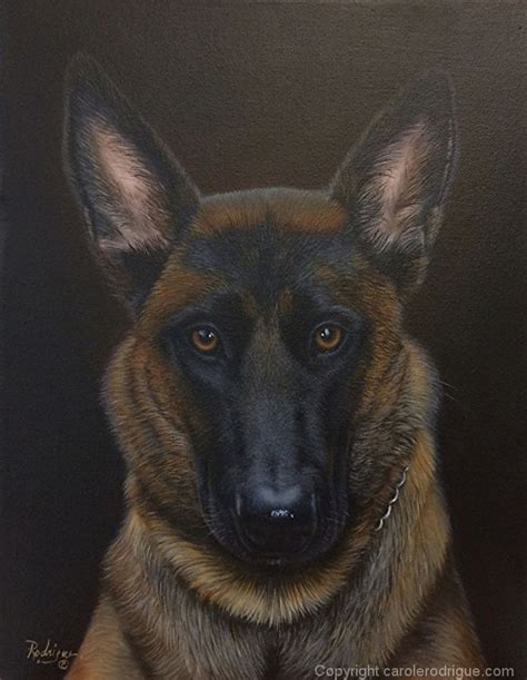 Luna, Belgian Malinois Portrait by Carole Rodrigue Oil ~ 14 x 11 | Dog art, Dog paintings, Pet ...