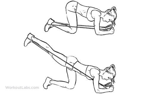 Resistance Band Glute Kickbacks | WorkoutLabs